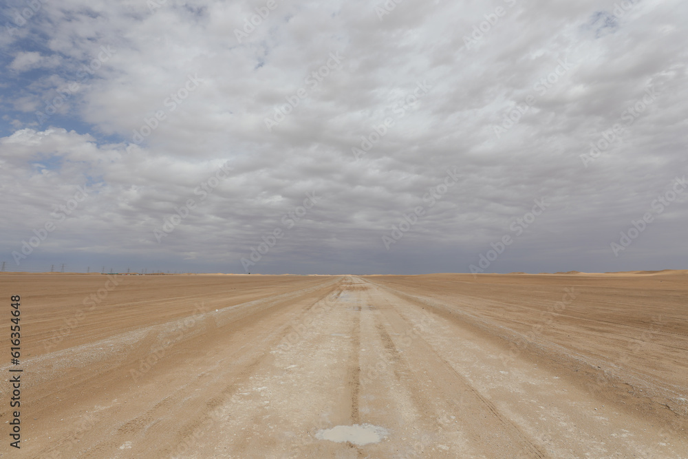 A windy day in the desert.