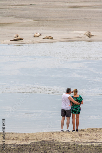 Couple observant les phoques en Baie d'Authie, à Berck-sur-Mer