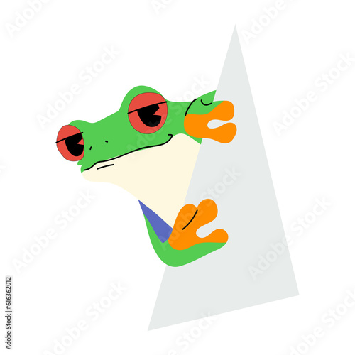 red-eyed tree frog single and paper 2 PNG