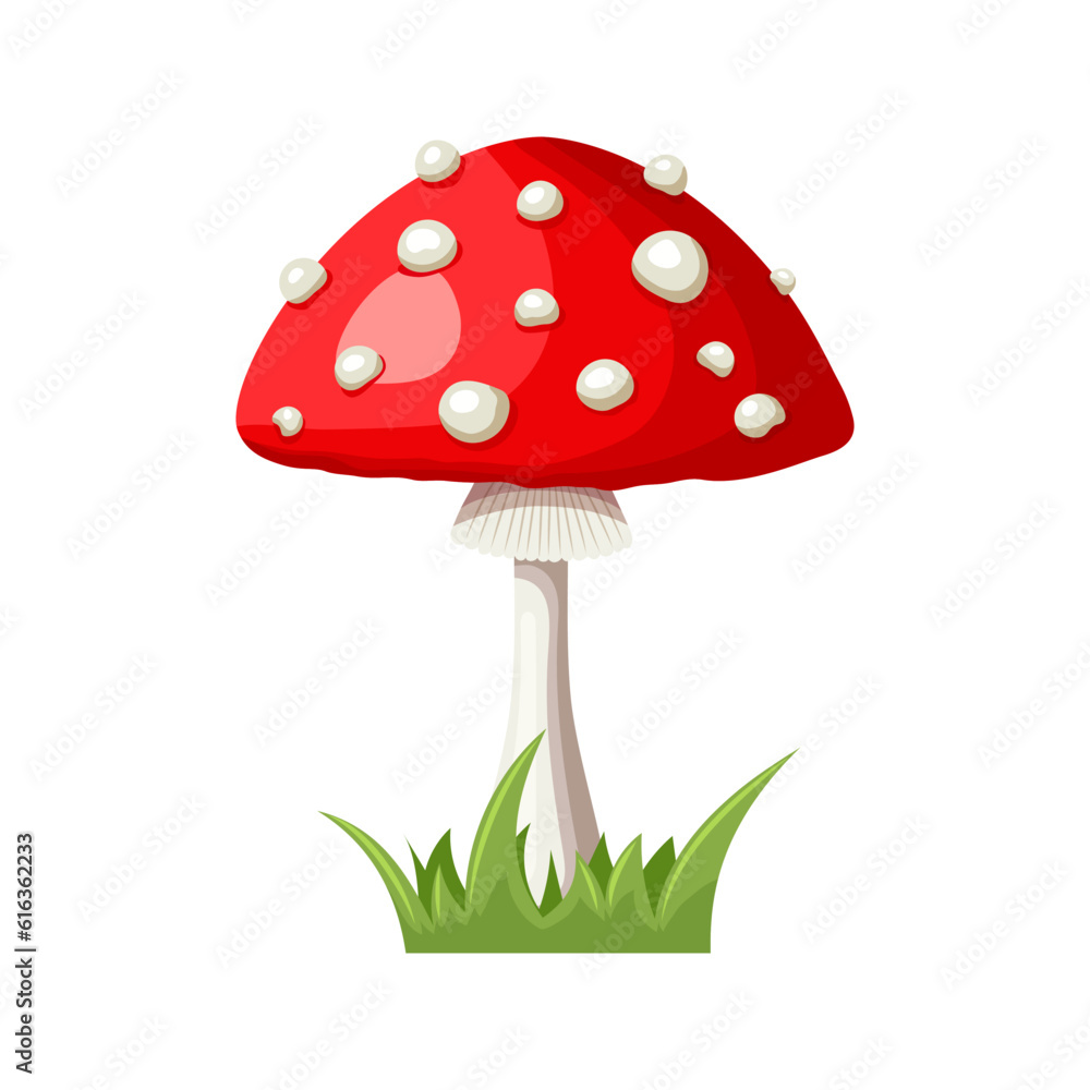 Vector cartoon, character Fly agaric or Amanita muscaria with grass, flat icon.