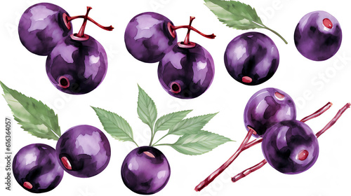 Acai berry in Watercolor with Generative AI
