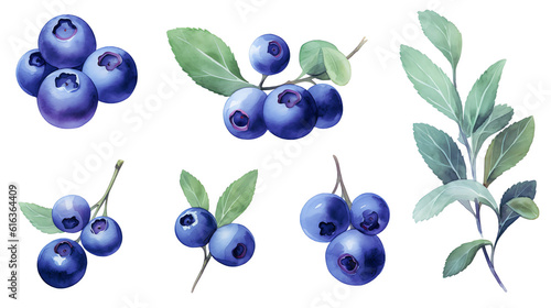Blaubeere, blueberry in Watercolor with Generative AI 