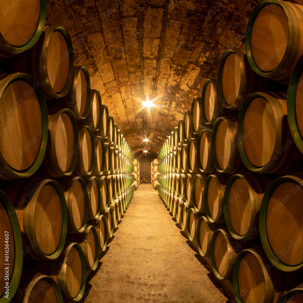 Barriles con vino en una bodega de La Rioja