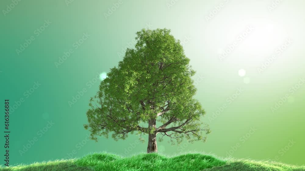 Big green tree and grasses sway in the wind on light green gradient background. Ecology and environment Sustainability Concept. 3D Render Big green tree and grasses sway in the wind on light green gradient background. Ecology and environment Sustainability Concept. 3D Render