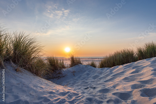 Fototapeta Naklejka Na Ścianę i Meble -  Dunes landscape during sunset at the beach of Wadden island Terschelling Friesland province in The Netherlands