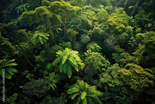 Jungle Canopy Rainforest Roof