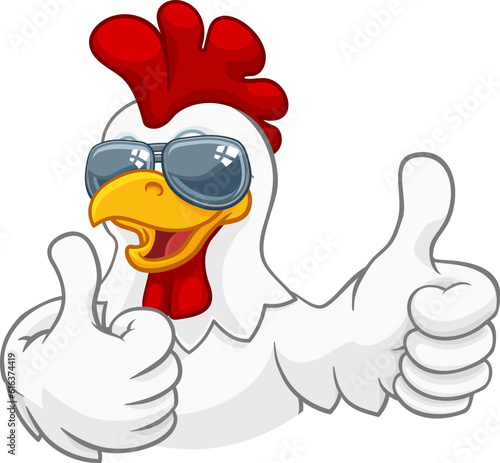 Fotobehang A chicken rooster cockerel bird cartoon character in cool shades or sunglasses g