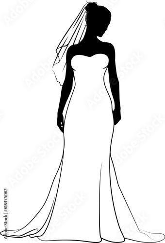 A woman bride in a bridal wedding dress in a silhouette
