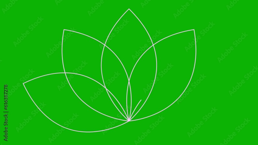 Animated pink linear lotus icon. Symbol is drawn gradually. Concept of yoga. Vector illustration isolated on green background. Animated pink linear lotus icon. Symbol is drawn gradually. Concept of yoga. Vector illustration isolated on green background.