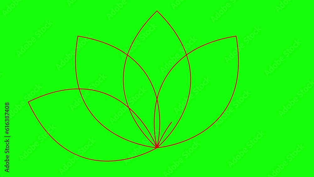 Animated red linear lotus icon. Symbol is drawn gradually. Concept of yoga. Vector illustration isolated on green background.
