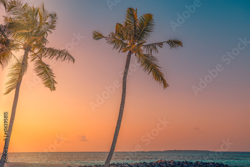 Palm trees on sandy island close to ocean. Beautiful bright sunset on tropical paradise beach  relaxing coastal landscape. Exotic scene  closeup sea waves. Evening colorful sky  peaceful seascape