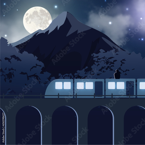 Travel by train in the midnight 