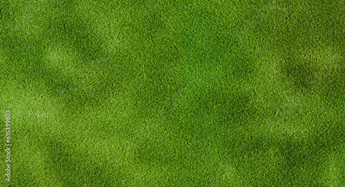 Top view grass field, hight quality grass fields, 3d illustration rendering