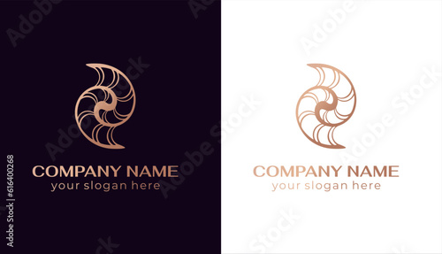Shell logo. Modern seashell, naulilus. Elegant linear logo. Template to create a unique luxury design, logo. Vector