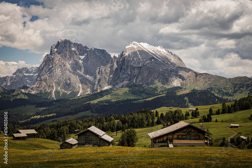 mountain panorama on the Alpe di siusi in south tyrol