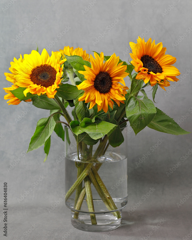 custom made wallpaper toronto digitalSonnenblumen in einer Glasvase vor grauem Grund