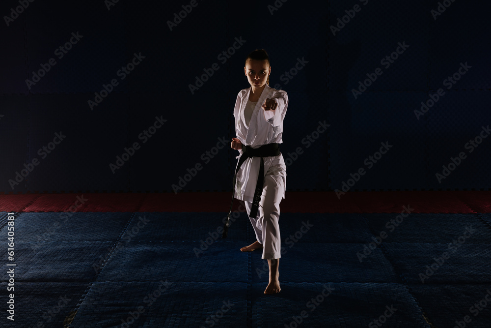Karate girl doing the Oi tsuki pose Karate girl doing the Oi tsuki pose