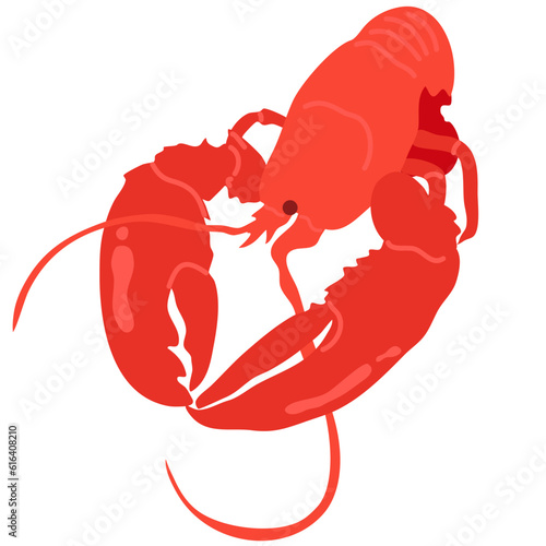 hand drawn vector illustration,isolated red lobster on white background.