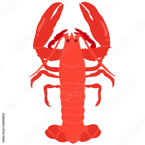 hand drawn vector illustration,isolated red lobster on white background.