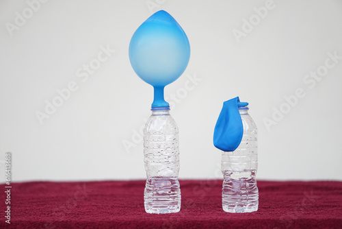 Science experiment , pink inflated balloons and flat balloon on top of transparent test bottles.Concept, science experiment about reaction of chemical substance, vinegar and baking soda.          