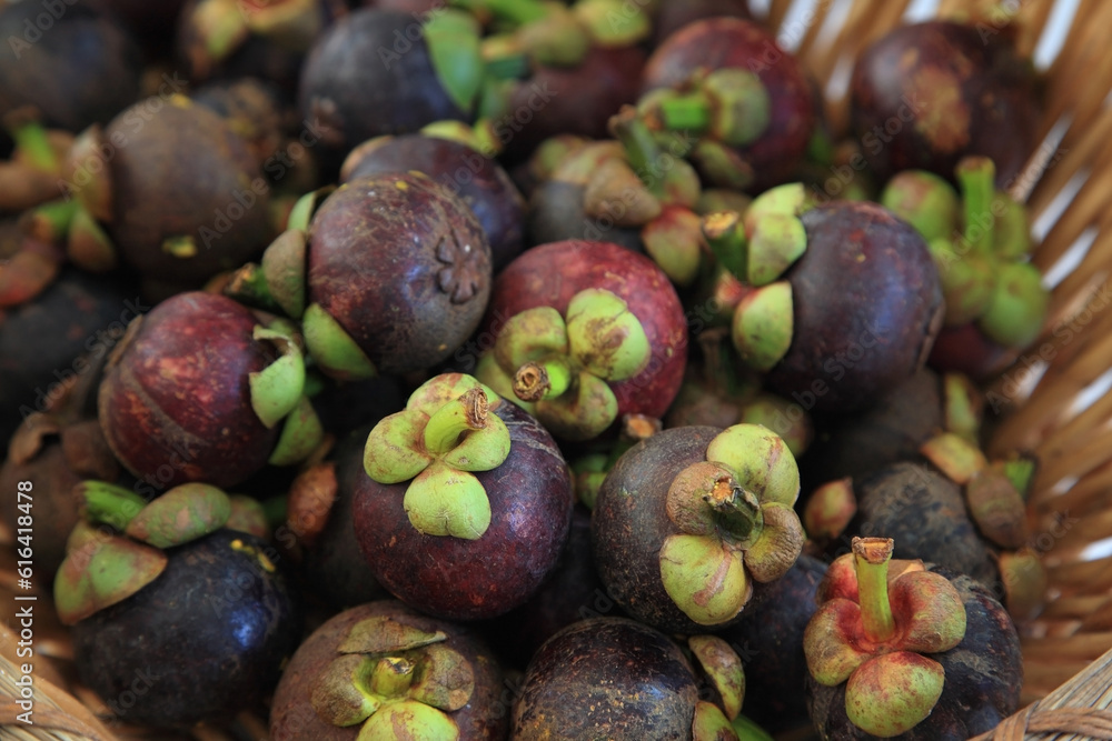 mangosteen on rattan basket. Tropical fruit for healthy eating mangosteen on rattan basket. Tropical fruit for healthy eating