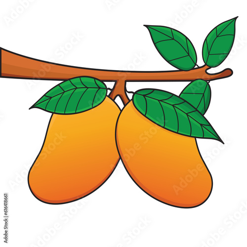 mango cartoon. mango illustration. fruit mango