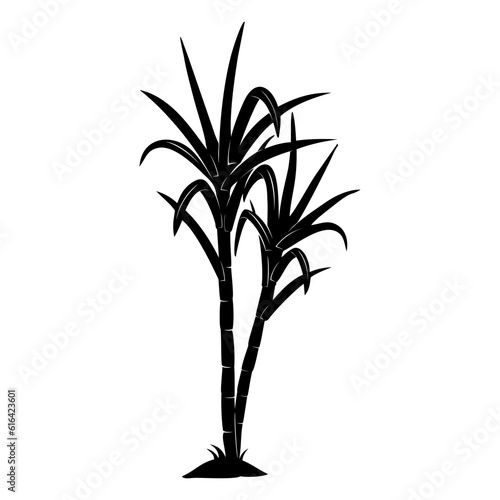 silhouette of a sugarcane
