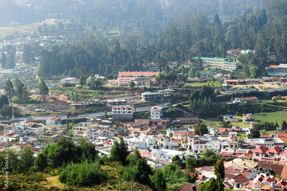 Panoramic Landscape with Village, Buildings, and Greenery