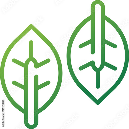 basil gradient line icon