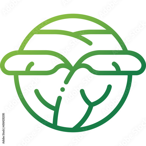 red cabbage gradient line icon