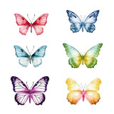 set of butterflies isolated on transparent background cutout