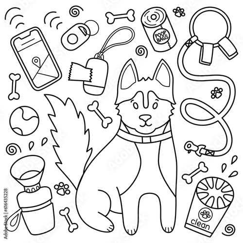 Walking with dog set, husky character and pet accessories, vector illustration of dog supplies, leash, collar and harness doodle icons, pet shop products collection, isolated outline clipart