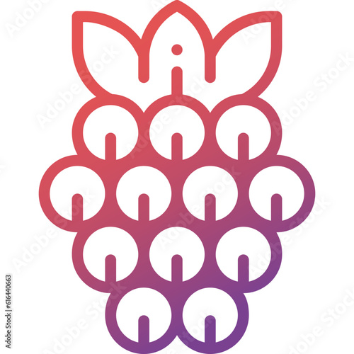 raspberry gradient line icon