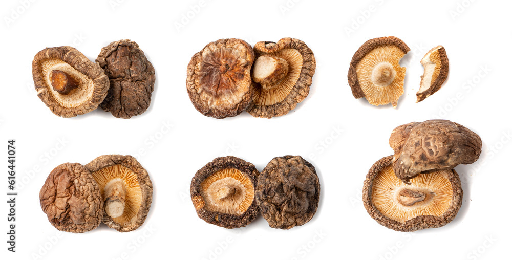 Dry Shiitake Mushrooms Isolated, Raw Shitake Pile, Healthy Organic Asian Fungi Dry Shiitake Mushrooms Isolated, Raw Shitake Pile, Healthy Organic Asian Fungi