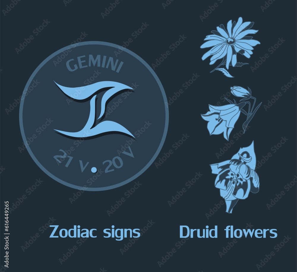 Zodiac sign Gemini from May 21 to June 20. Horoscope logo on dark blue background. Druid flowers: chamomile, bell, tulip. Zodiac sign Gemini from May 21 to June 20. Horoscope logo on dark blue background. Druid flowers: chamomile, bell, tulip.