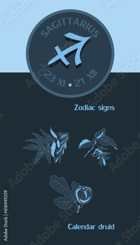 Zodiac sign Sagittarius from November 23 to December 21. Horoscope logo on dark blue background. Druid calendar: ash, hornbeam, fig. photo