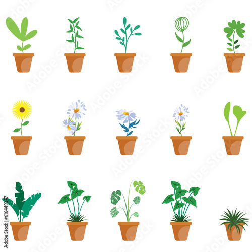 Plants and flowers svg, plants set, Collection Of Colorful Potted Plants In Flat, Plants tree svg, beautiful houseplants, houseplant collection, Hand drawn houseplant collection, indoor houseplants