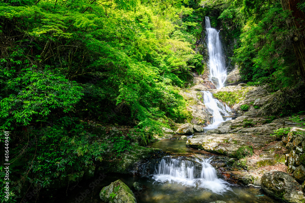 初夏の菅生の滝　福岡県北九州市　Sugao Falls in early summer. Fukuoka Pref, Kitakyusyu City.