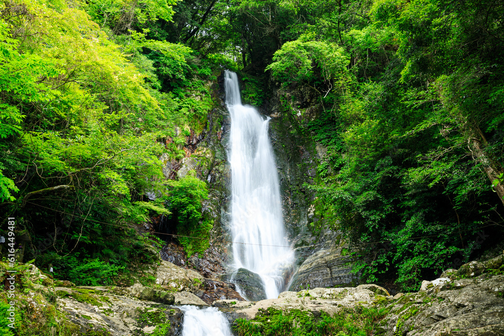 初夏の菅生の滝 福岡県北九州市 Sugao Falls in early summer. Fukuoka Pref, Kitakyusyu City. 初夏の菅生の滝 福岡県北九州市 Sugao Falls in early summer. Fukuoka Pref, Kitakyusyu City.