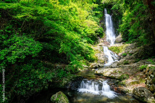 初夏の菅生の滝 福岡県北九州市 Sugao Falls in early summer. Fukuoka Pref, Kitakyusyu City.