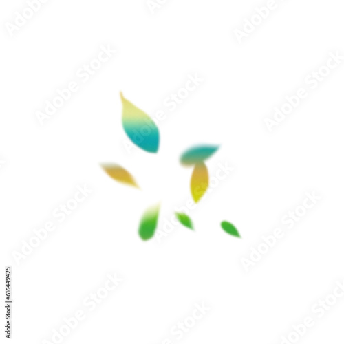 leaves on white background