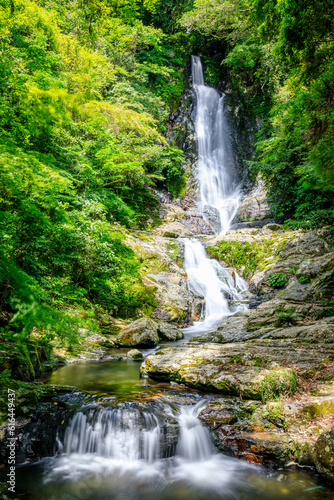                                                 Sugao Falls in early summer. Fukuoka Pref  Kitakyusyu City.