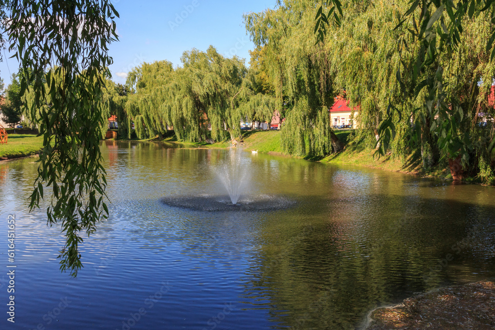 Φωτογραφία The fountain in the middle of the pond in the city of Fagaras