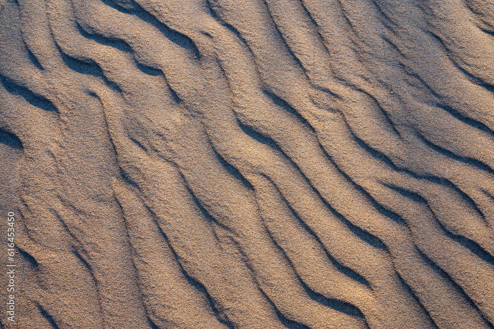 sand texture background.
Finland
sand texture background.
Finland