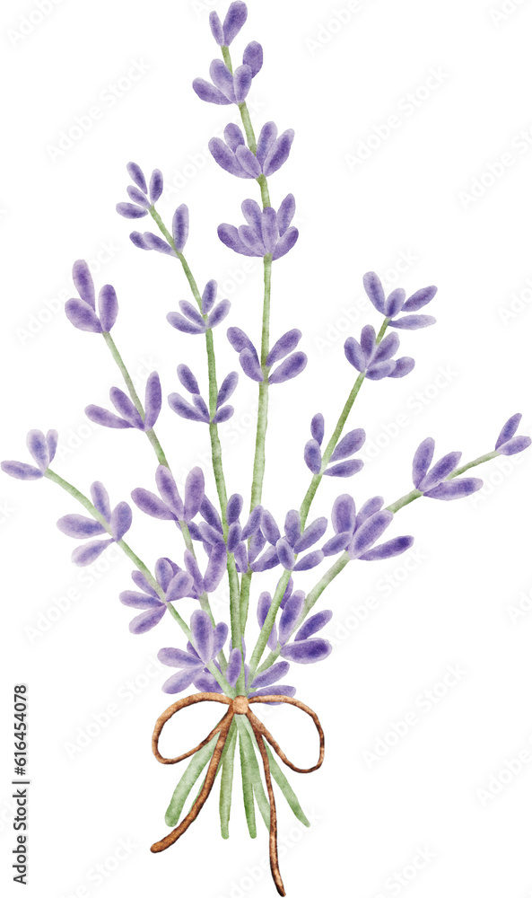 Lavender flower bouquet elements Lavender flower bouquet elements