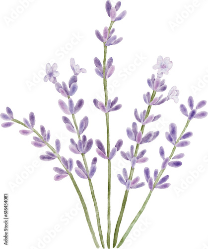 Lavender flower bouquet elements
