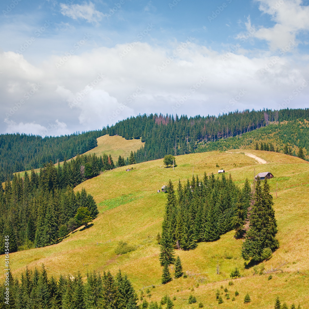 Summer mountain village landscape with hamlet on hill top Summer mountain village landscape with hamlet on hill top