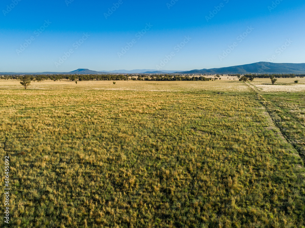 Aerial view of grassy farm landscape of wide flat paddock Aerial view of grassy farm landscape of wide flat paddock