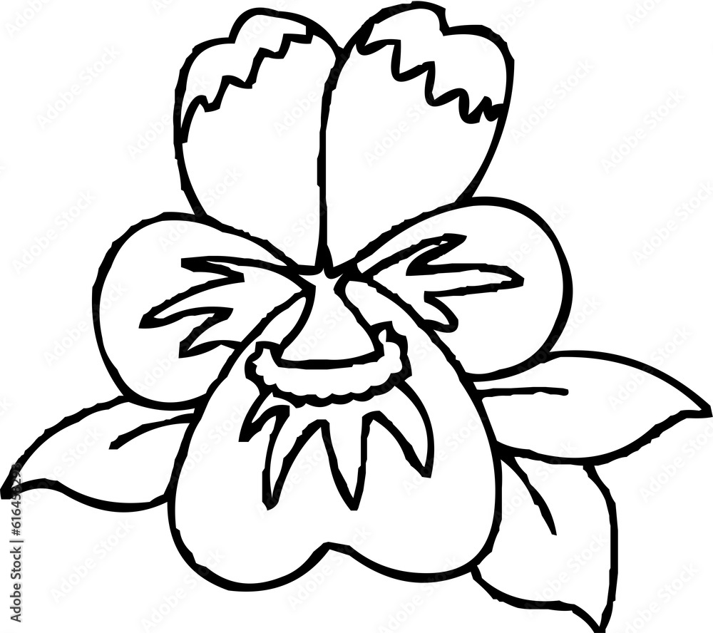 bunga, flower, daun, tumbuhan, vector, wangi, bunga, flower, daun, tumbuhan, vector, wangi,