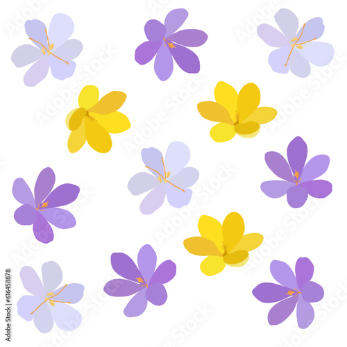 Collection of crocuses and saffrons. A set of spring purple, yellow and white crocuses. Vector illustration of beautiful multicolored flowers